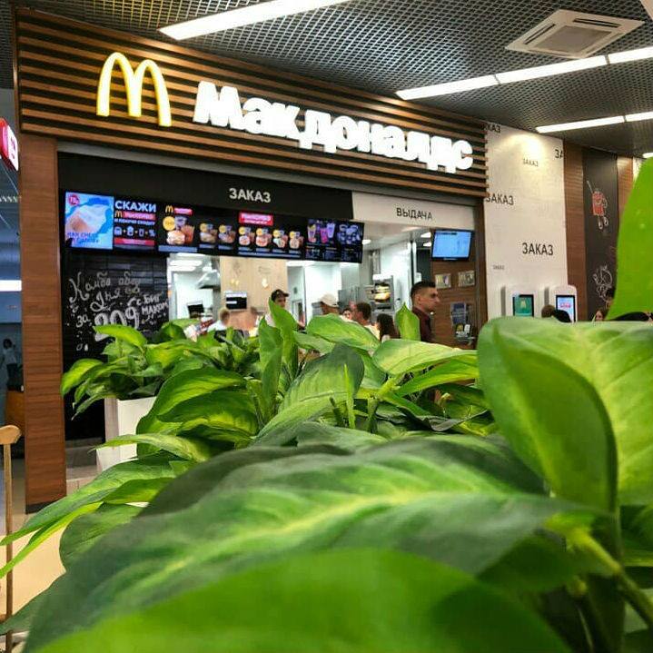 McDonald's удвоил квартальную прибыль. Аналитики рекомендуют купить акции