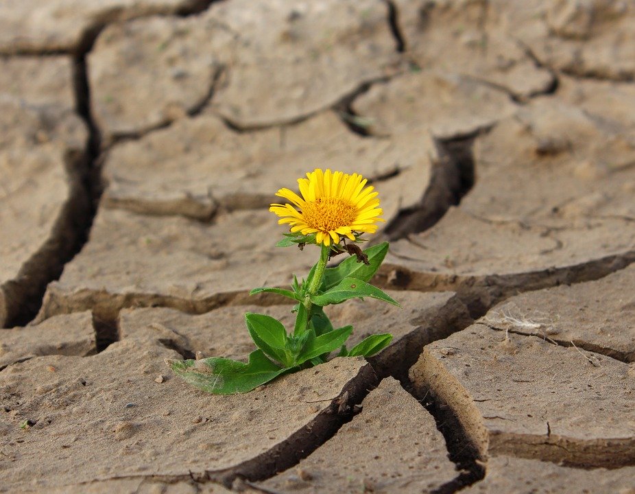 Какой бизнес выжил в апреле: обзор открытий и закрытий месяца