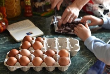 В Сибири запустят франшизу гастроинкубатора
